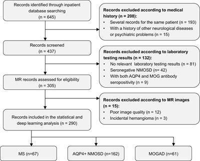 Transformer-Based Deep-Learning Algorithm for Discriminating Demyelinating Diseases of the Central Nervous System With Neuroimaging